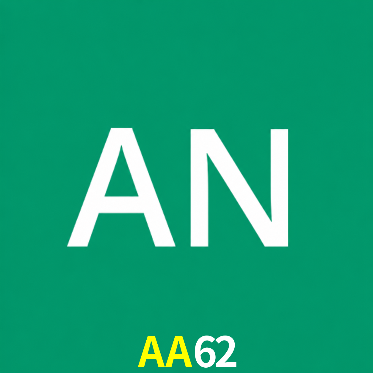 Adi Nugroho - Founder & CEO AA62 Indonesia